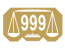 Ag 999